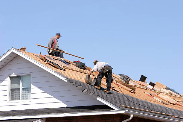 Best Metal Roofing Installation  in Stanford, KY